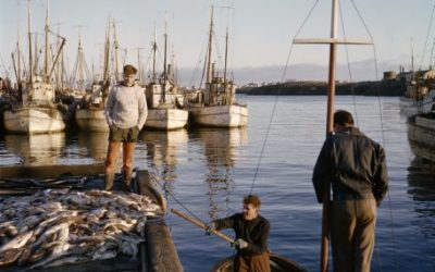 Engin banaslys hjá sjómönnum 2019