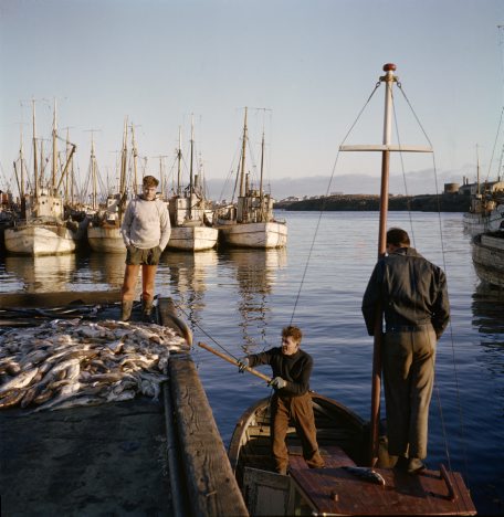 Engin banaslys hjá sjómönnum 2019