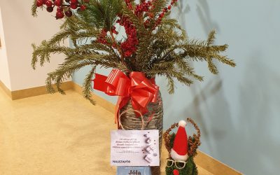 Vel heppnuð leyniferð jólasveinanna